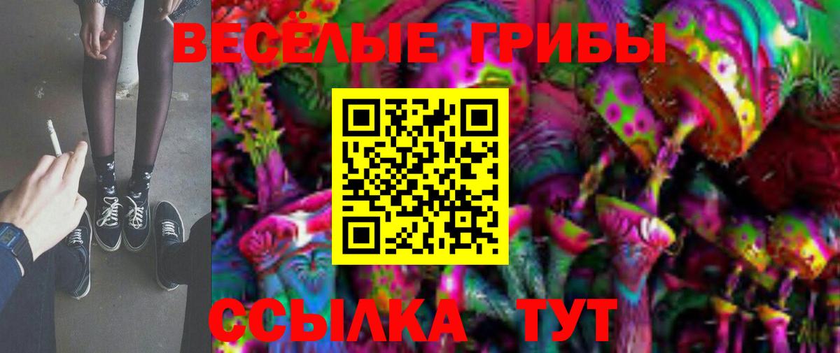 Псилоцибиновые грибы Psilocybine cubensis  Псилоцибиновые грибы мицелий  Вход с VPN  Белгород 